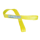 Polyester Flat Eye & Eye Web Sling - Type 3